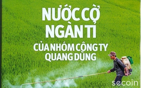 Importation helps Secoin